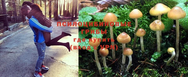 гашиш Балахна