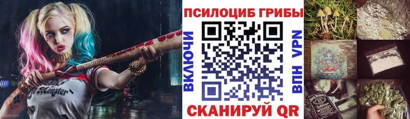 продажа наркотиков  Няндома  Галлюциногенные грибы MAGIC MUSHROOMS 